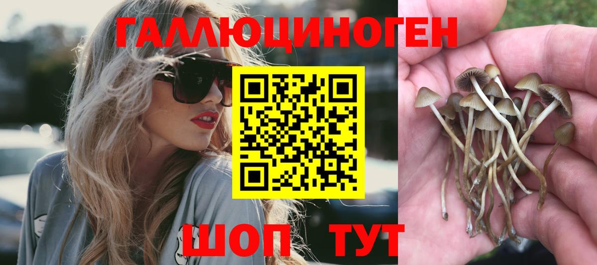 Балабаново  Псилоцибиновые грибы мицелий  Вход с VPN 
