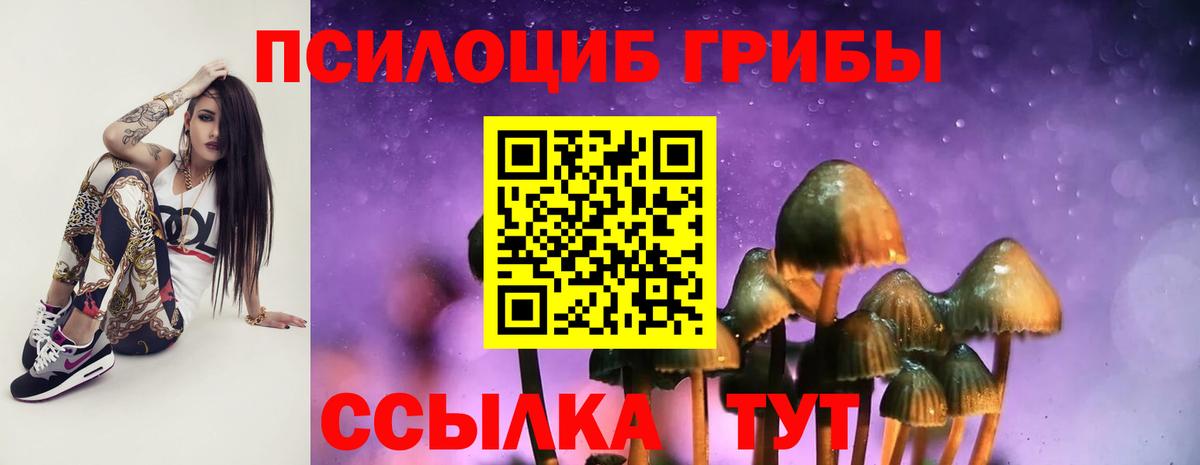 Галлюциногенные грибы MAGIC MUSHROOMS Балабаново